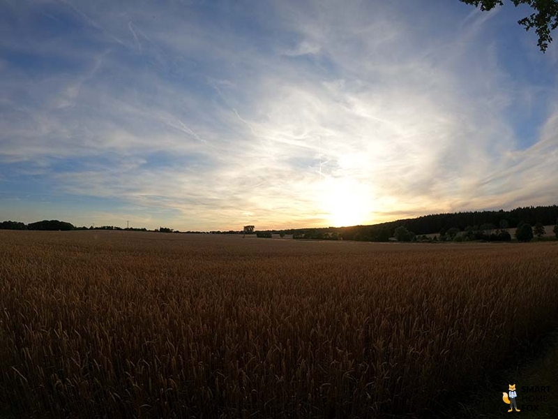 Man sieht eine Aufnahme, die mit der GoPro Hero 9 im Zoom-Modus gemacht wurde.
